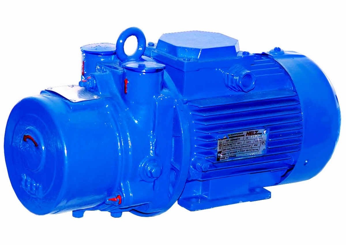 Вакуумный насос ГМС Ливгидромаш 2ВВН1-0.8